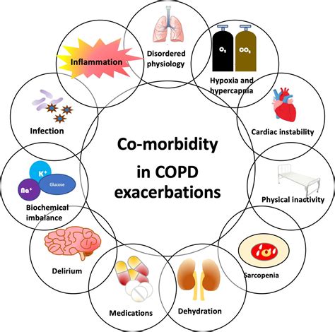 Building Toolkits For Copd Exacerbations Lessons From The Past And