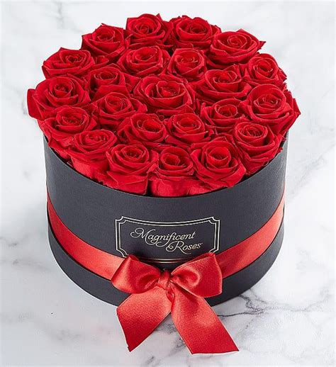 Magnificent Roses® Preserved Roses In 2023 Flower T Valentines