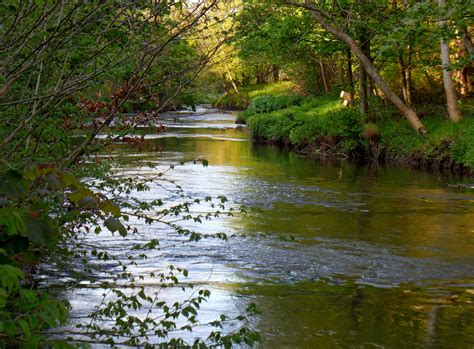 Peaceful River Scene In Scotland Peace Like A River Pinterest