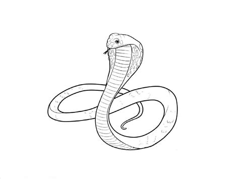 Simple Snake Drawing At Getdrawings Free Download