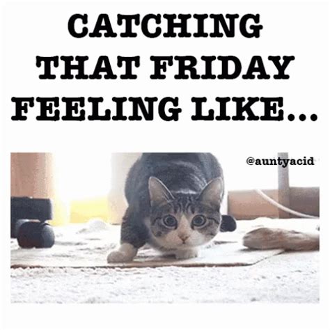 Check out all the awesome good friday gifs on wifflegif. Catching That Friday Feeling Like... Pictures, Photos, and ...