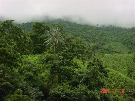 Rfpn De Sonso Guabas Sidap Valle Del Cauca