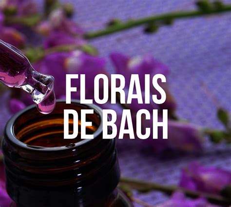 Florais De Bach FormaÇÃo De Terapeutas Alba