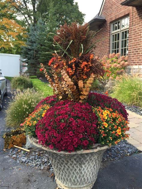 A Fall Container Planting Deborah Silver And Co