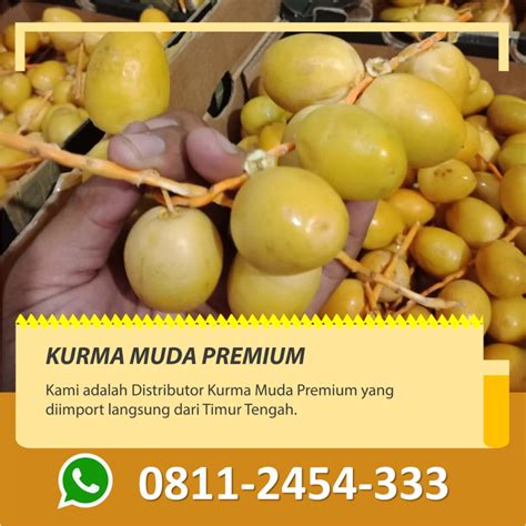 Manfaat kurma muda merah yang belum diketahui semua orang. Grosir Kurma Muda Untuk Kesuburan di Bandung |08112454333 ...