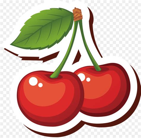 Cherry Clipart Sour Cherry Cherry Sour Cherry Transparent Free For