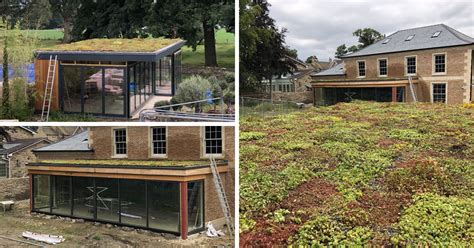 Garden Studios With Green Roofs On The Rise Green Roofs Naturally