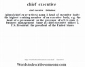chief executive definition | chief executive meaning - words to ...