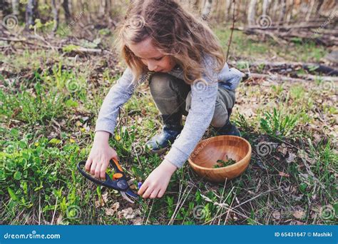 Child Girl Exploring Nature In Early Spring Forest Kids Learning To