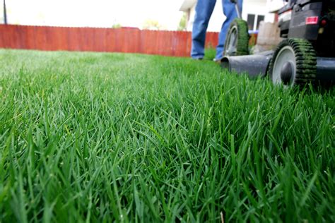 Lawn Mowing Made Easy! | Harmony - Outdoor Living