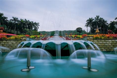 The Winter In Guangzhou Is Really Colorful And Warm Guangzhou Is The