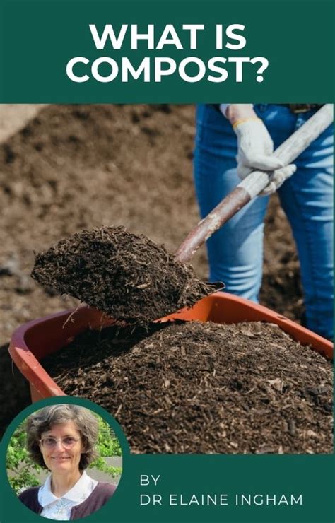 Dr Elaine Ingham What Is Compost Soil Learning Center