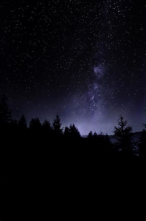 Dark Starry Sky Vintage Aesthetic Wallpaper Over A Dark Forest With