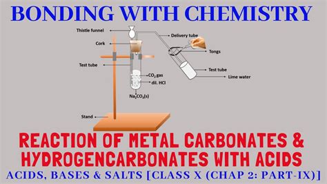 Reaction Of Metal Carbonates And Hydrogencarbonates With Acids Class X