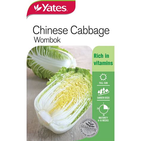 Yates Chinese Cabbage Wombok Seeds Each Woolworths