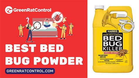 Best Bed Bug Powders In 2023 Greenratcontrol