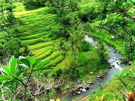 gambar pemandangan alam pedesaan indonesia kumpulan gambar
