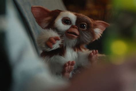 Gremlins Star Zach Galligan Explains Why Gizmo Is Cuter Than Baby