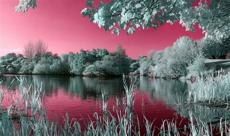 Pink Nature Laptop Wallpapers Top Free Pink Nature Laptop Backgrounds