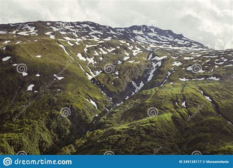 Juicy Green Slope Of A Mountain Overgrown With Dense Vegetation With
