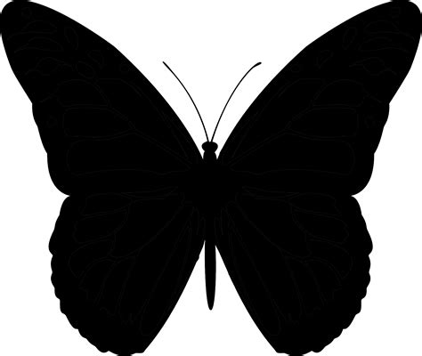 Free Butterfly Silhouette Png Download Free Butterfly Silhouette Png