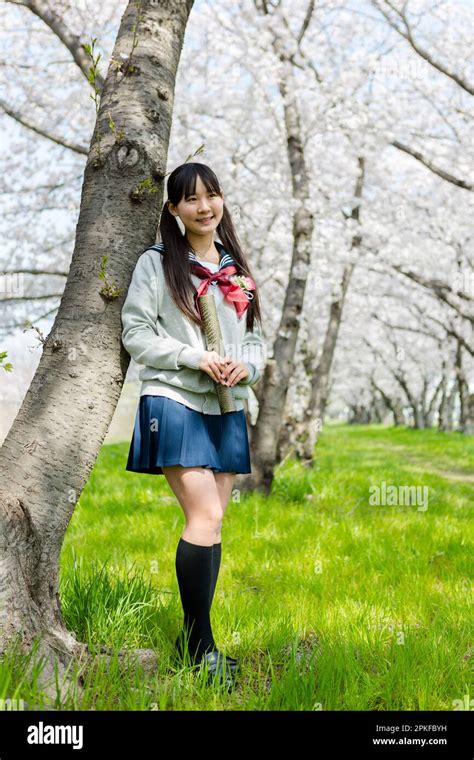 Schoolgirl Standing In A Row Of Cherry Blossom Trees Stock Photo Alamy