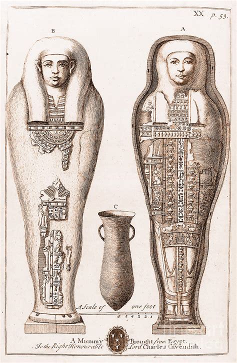 Egyptian Mummy Illustration Photograph By Wellcome Images