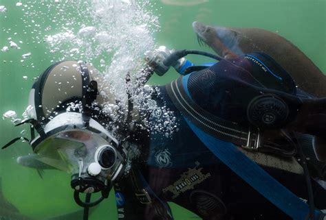 Person Sport Black Exploration Wetsuit Underwater Diving Sea
