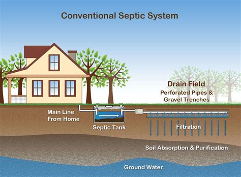 It may be located in the grass or within a garden bed. How A Septic System Works | Septic system, Septic tank ...