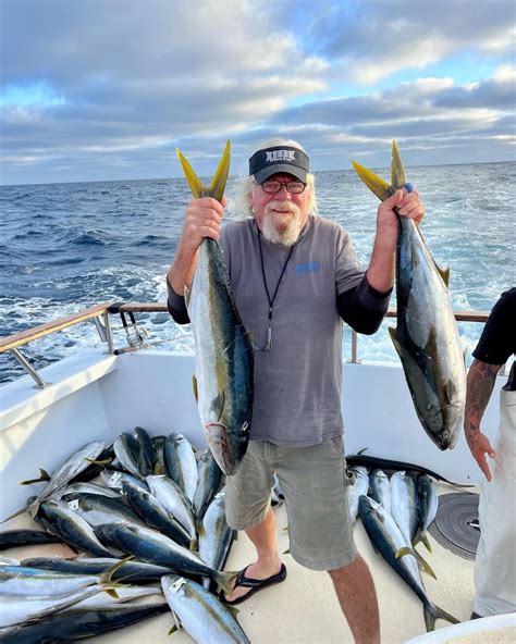 Pacific Dawn Fish Report Fish Report Yellowtail Action Is Hot