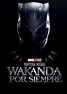 Black Panther: Wakanda Forever (2022)