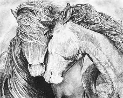 Friendship Graphite Pencil Drawing Of Two Horses Symbolizing
