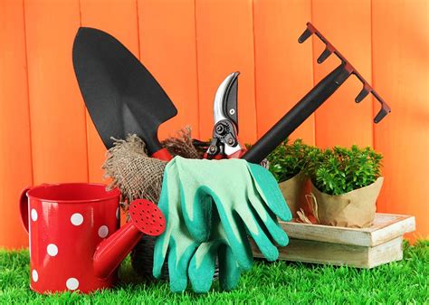 7 Essential Gardening Tools For Beginners Better Gardeners Guide