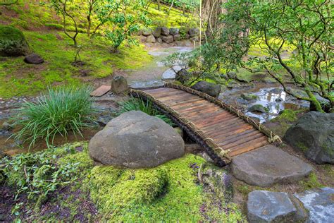 We did not find results for: Wooden Garden Bridge Over Small Water Stream | Photo ...