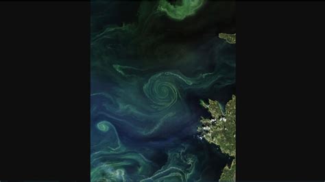 Nasa Posts Incredible Pics Of Phytoplankton Bloom Captured By A