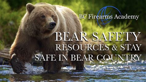 Free Online Bear Safety Resource And Stay Safe In Bear Country Course