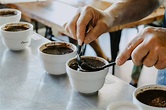 Six Chinese Coffees Listed in Top 30 Coffees of 2019 by Coffee Review ...