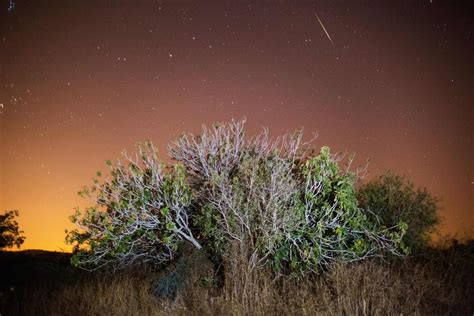 İşte perseid meteor yağmuru'nun fotoğrafını çekmek için dikkat etmeniz gerekenler. Dün Akşam Gerçekleşen 2016 Meteor Yağmuru'ndan En Çarpıcı ...