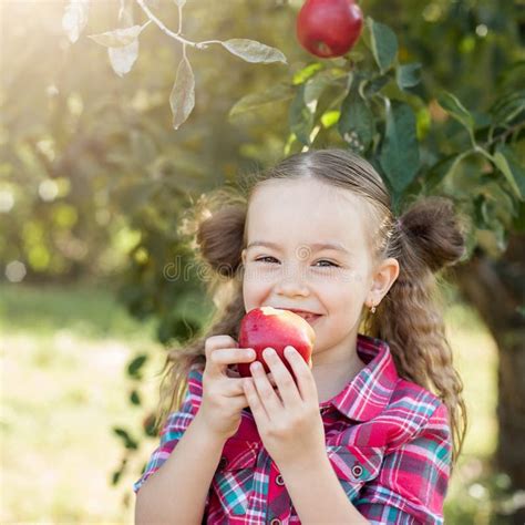 Girl With Apple In The Apple Orchard Stock Image Image Of Casual