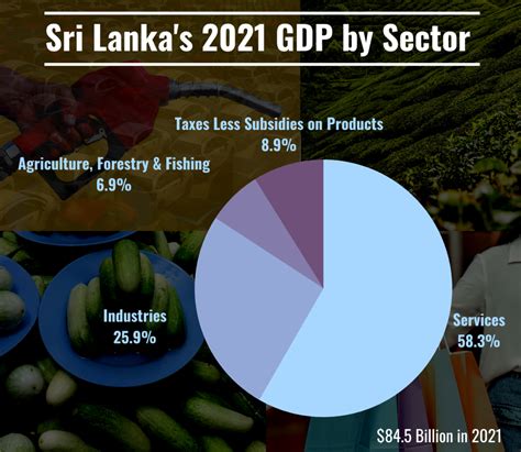 How Did Sri Lankas Economy Collapse Causes And Economic Reforms Thestreet