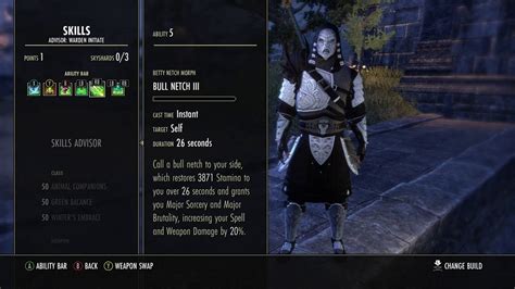 Eso Stamina Warden Pvp Build Group Play For All Classes Dragonbones