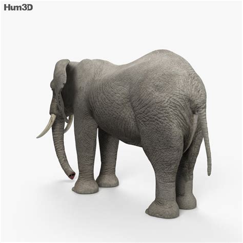 From there, tap view in 3d, and the site will put an animated 3d model on your screen. African Elephant HD 3D model - Animals on Hum3D