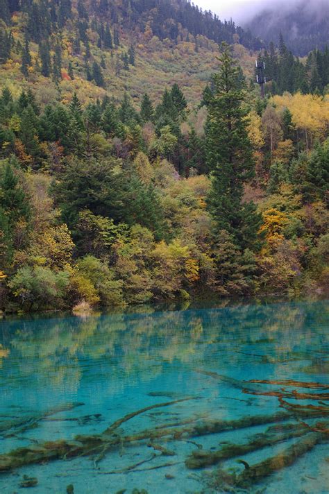Free Stock Photo Of Cyan Blue Lake Surrounded By Trees Photoeverywhere