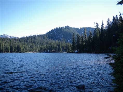 Bear Lake (King County) | Washington Department of Fish & Wildlife