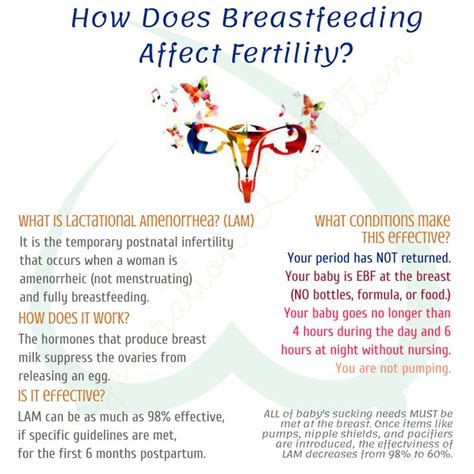 Breastfeeding Fertility And Lam Lactational Amenorrhea