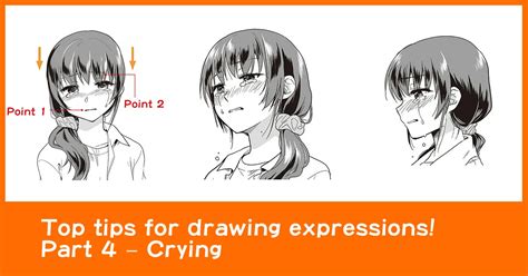 Update More Than Angry Cry Anime In Duhocakina