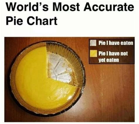Pie Chart Meme Chameleon Memes