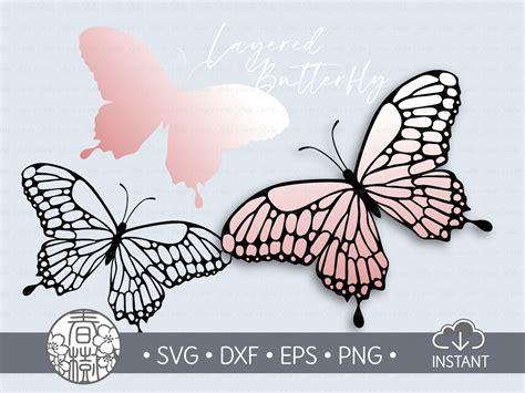Layered Butterfly Svg Butterfly Clipart Cut File Cricut Etsy