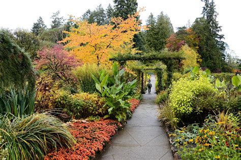 2 Must See Gardens In Victoria