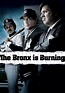 The Bronx Is Burning - streaming tv show online
